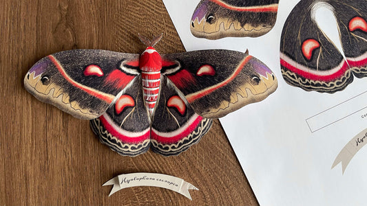 Paper Cecropia Moth Tutorial – Make North America’s Largest Moth!