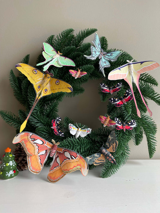 Paper Moth Christmas Wreath