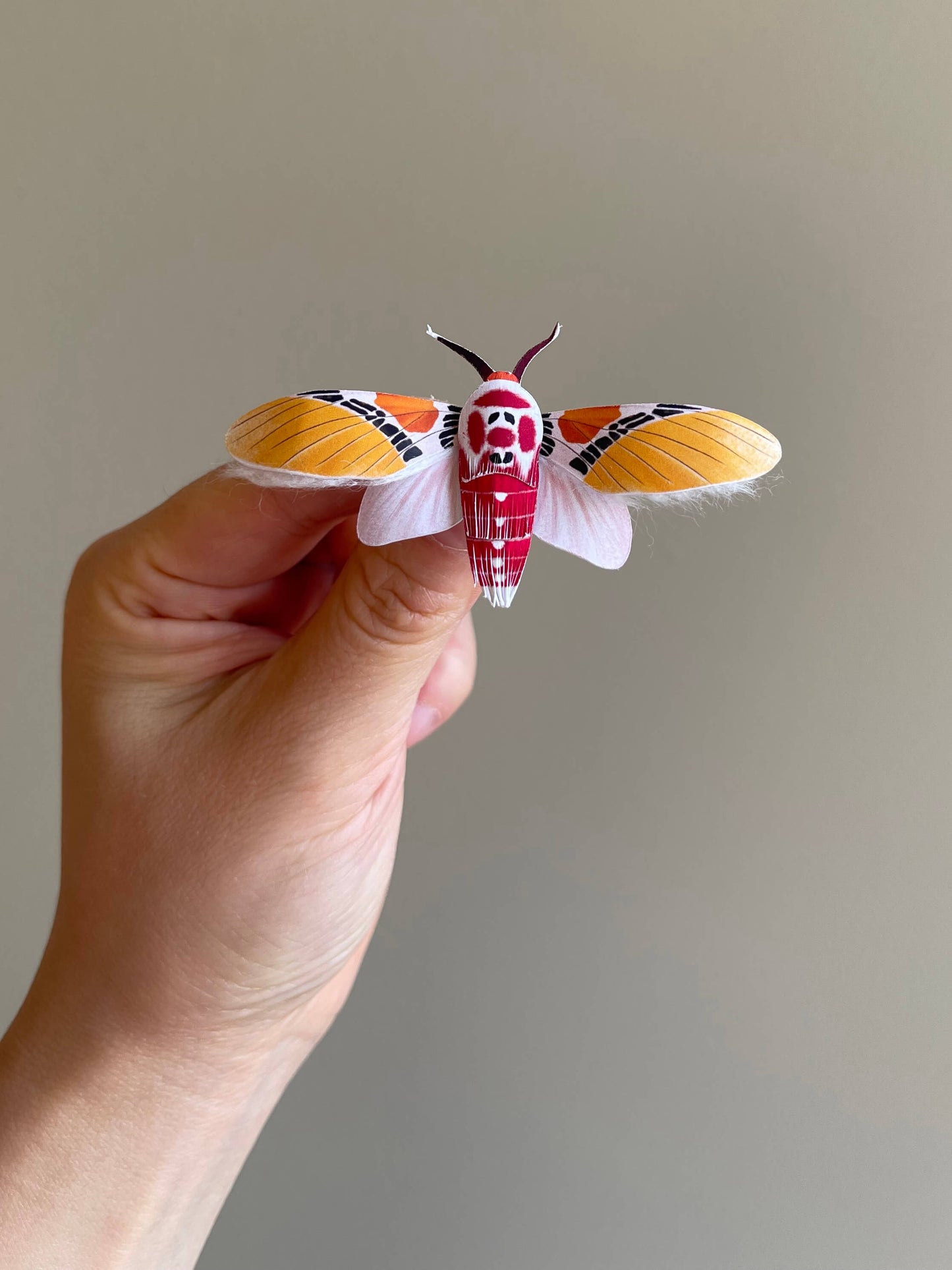 Paper Moth, hoding a Paper Clown Face Moth