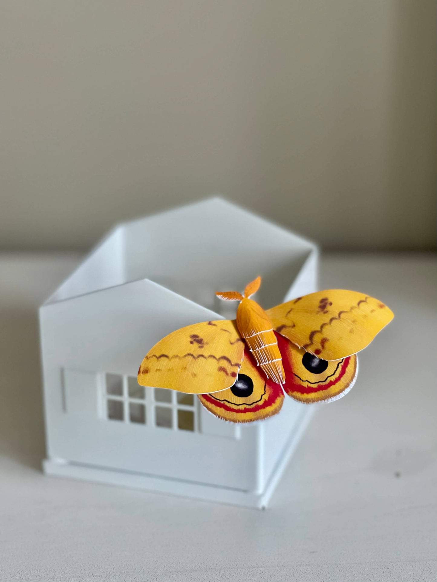 DIY Paper Io moth