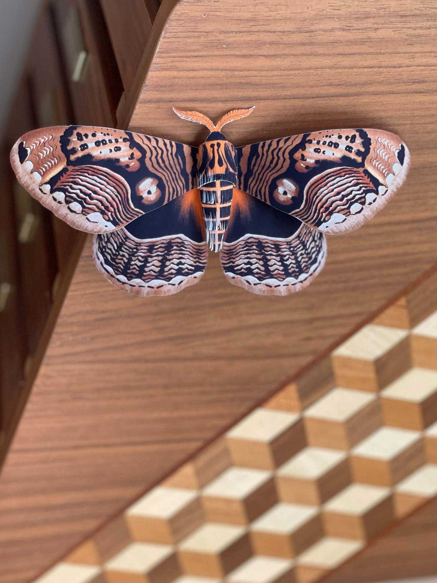 Paper Owl Moth