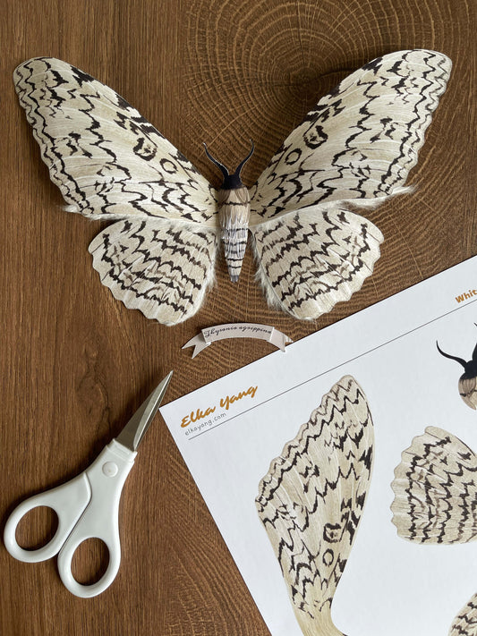 Paper Craft White Witch Moth Template and Tutorial