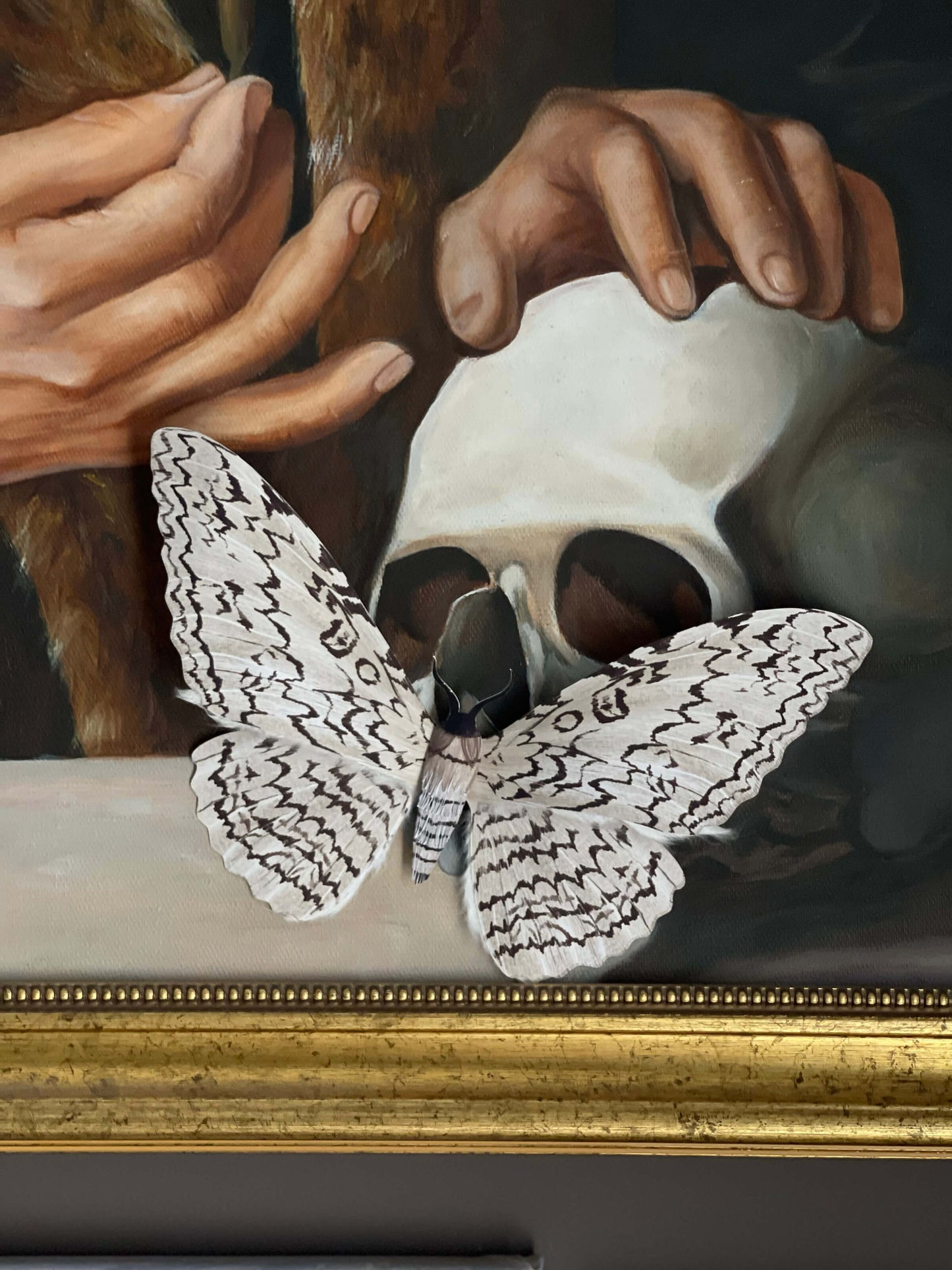 Paper White Witch Moth