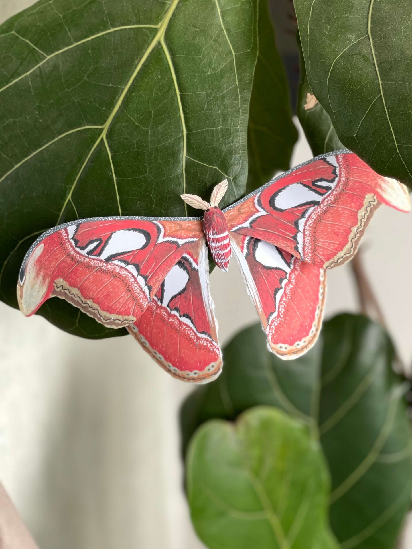 Paper Moth, big paper atlas moth made from template, stay on leaf