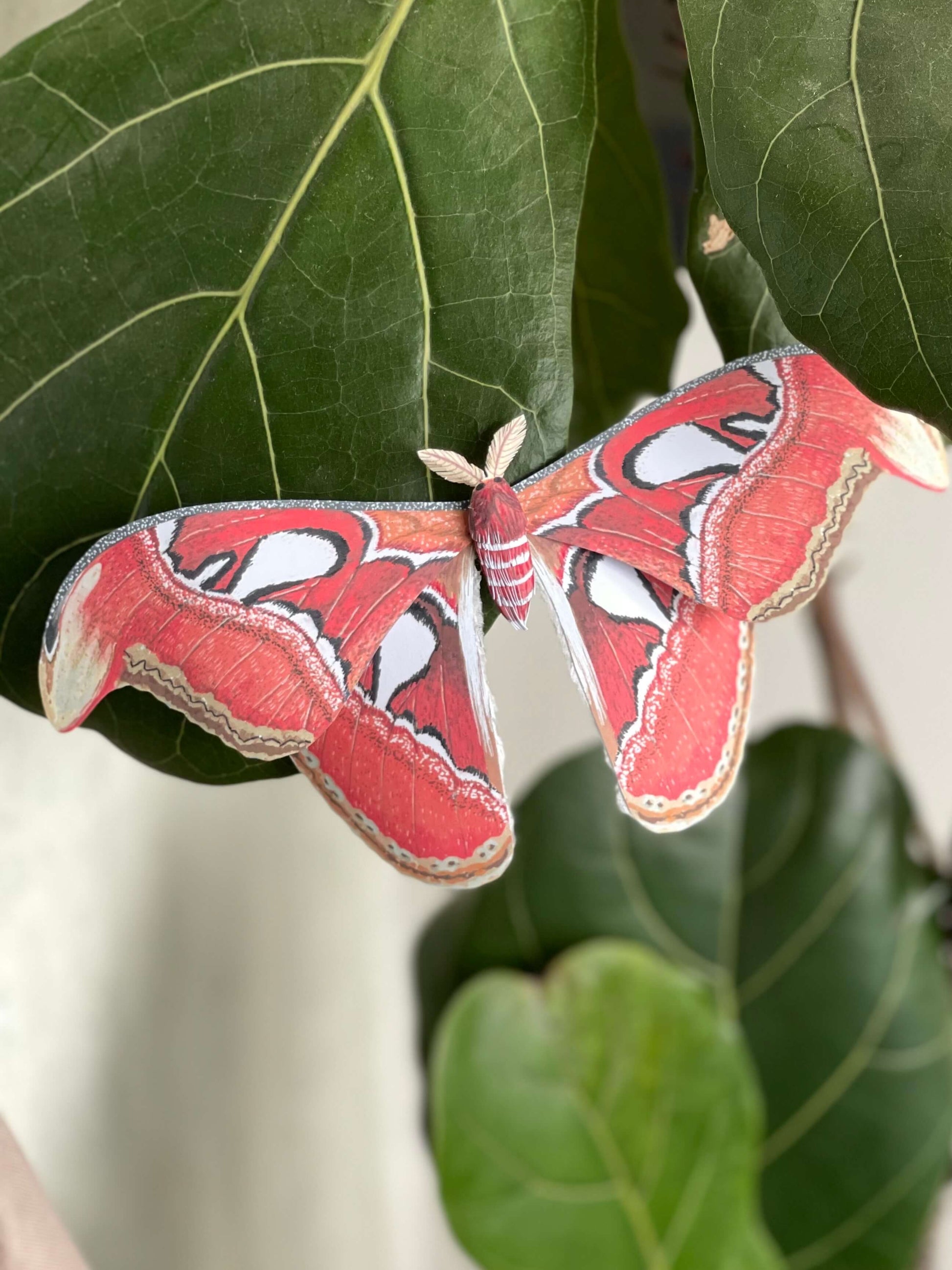 Paper Moth, big paper atlas moth made from template, stay on leaf
