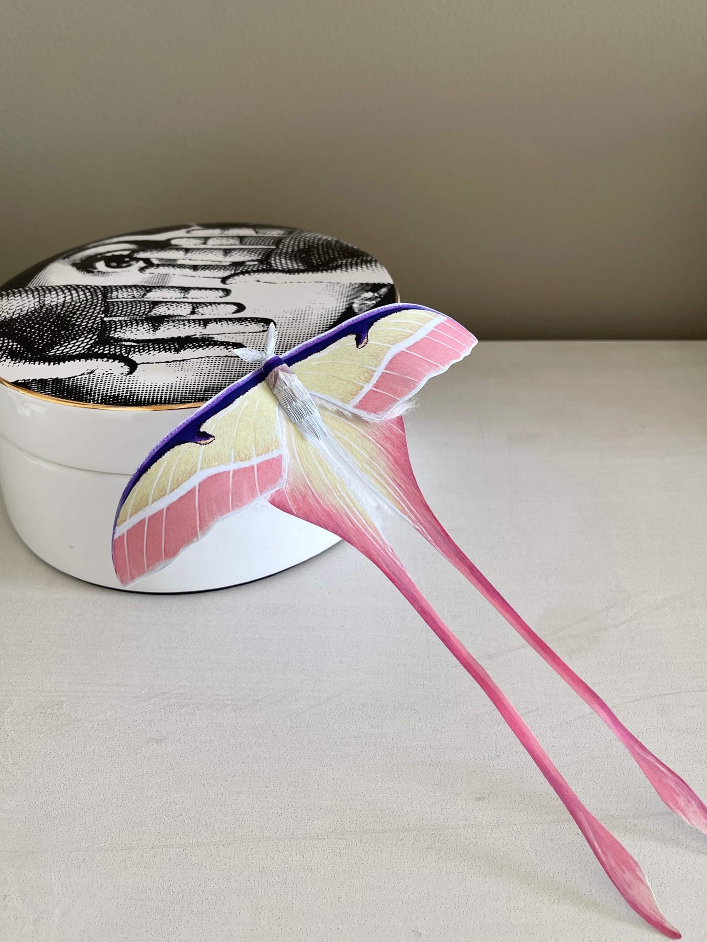 Paper Moth, Chinese moon moth wall decor