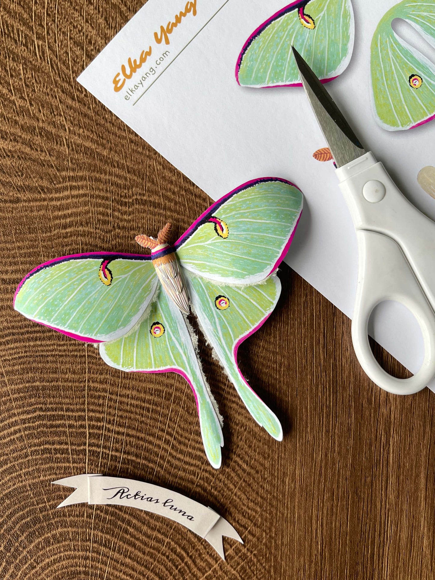 Paper Moth, Realistic paper Luna moth, moon moth made from template