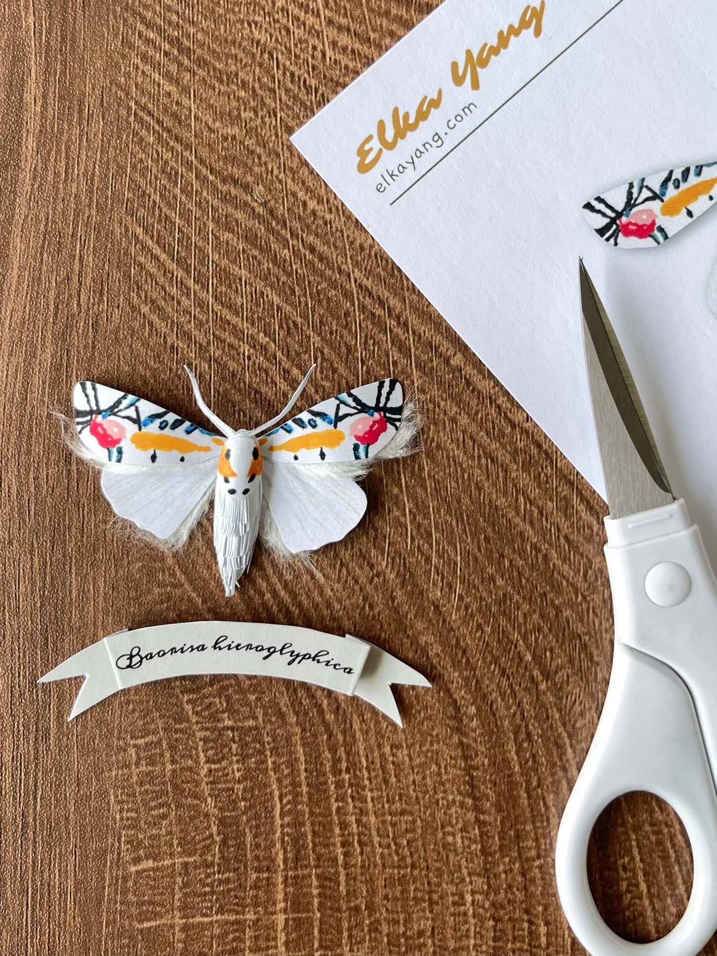 Paper Moth, Realistic paper Picasso moth made from template
