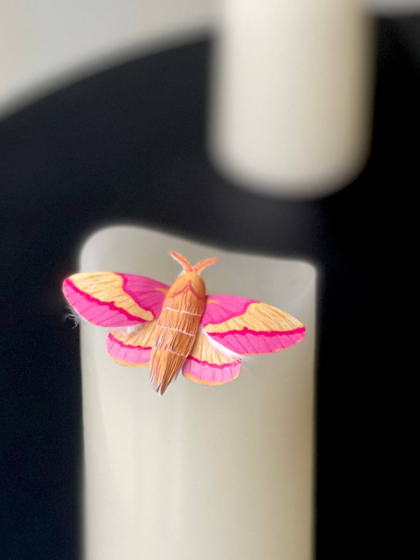 Paper Moth, Paper Rosy Maple Moth, Pink Moth Staying on a Candle