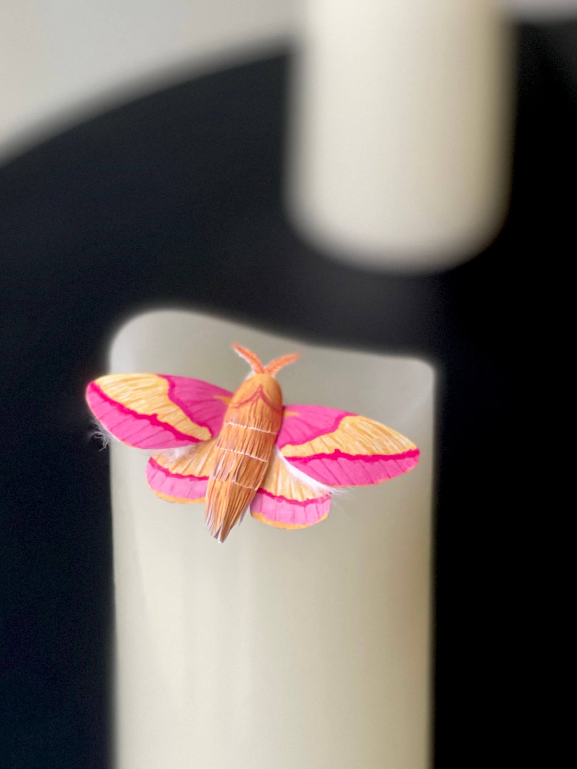 Paper Moth, Paper Rosy Maple Moth, Pink Moth Staying on a Candle