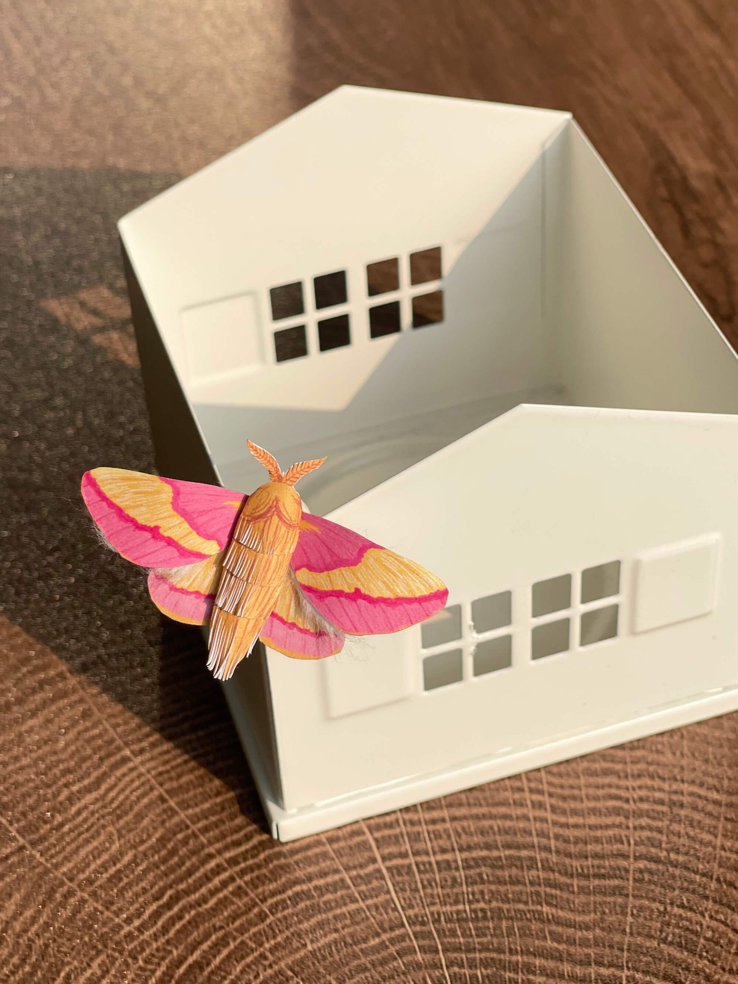 Paper Moth, Paper Rosy Maple Moth, Pink Moth
