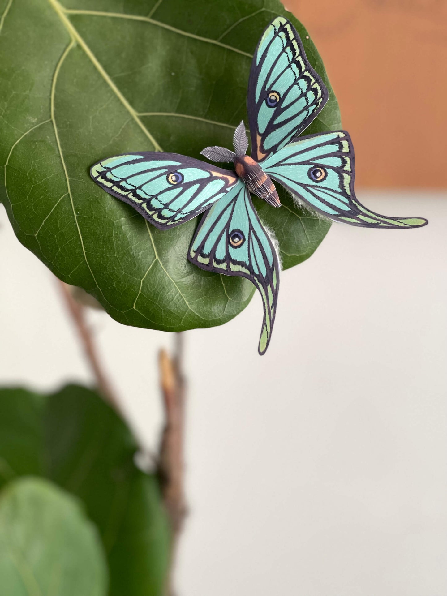 Paper Moth, Paper Spanish Moon Moth, Spanish Luna Moth staying on a green leaf