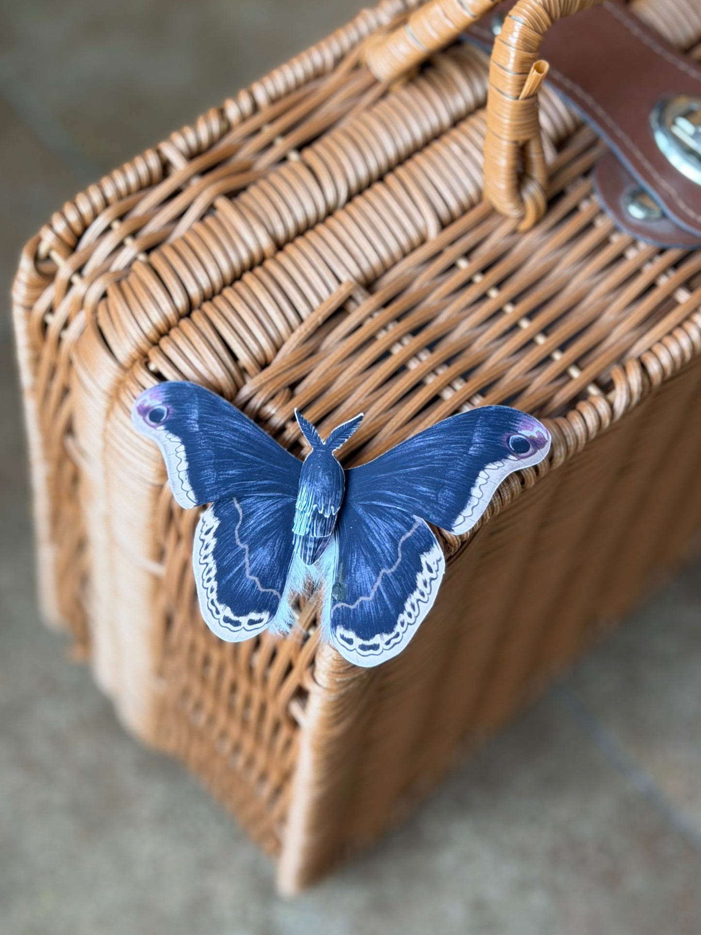 DIY Paper Promethea Moth, blue butterfly on Wicker picnic basket