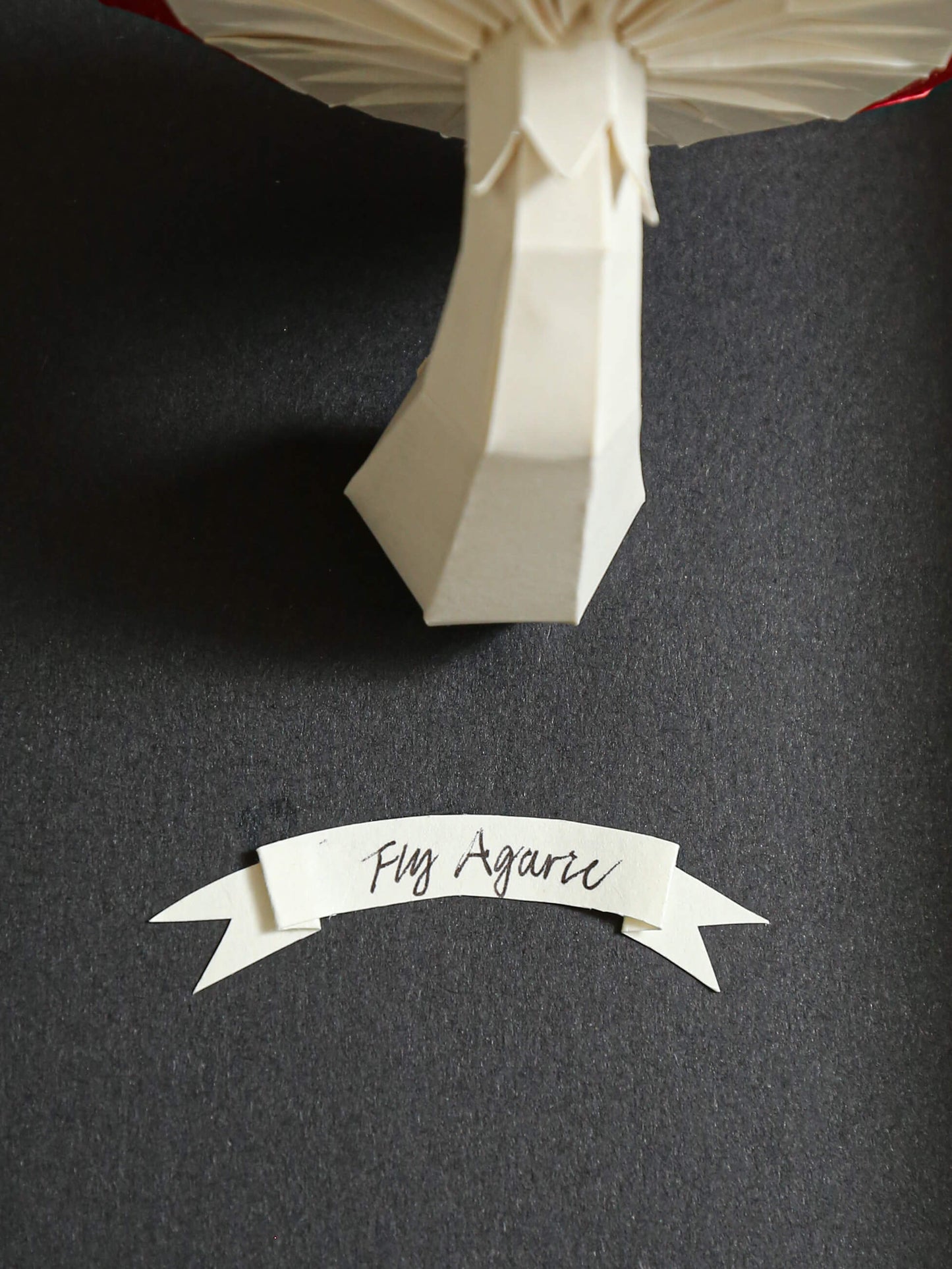 papercraft mushroom by elkayang