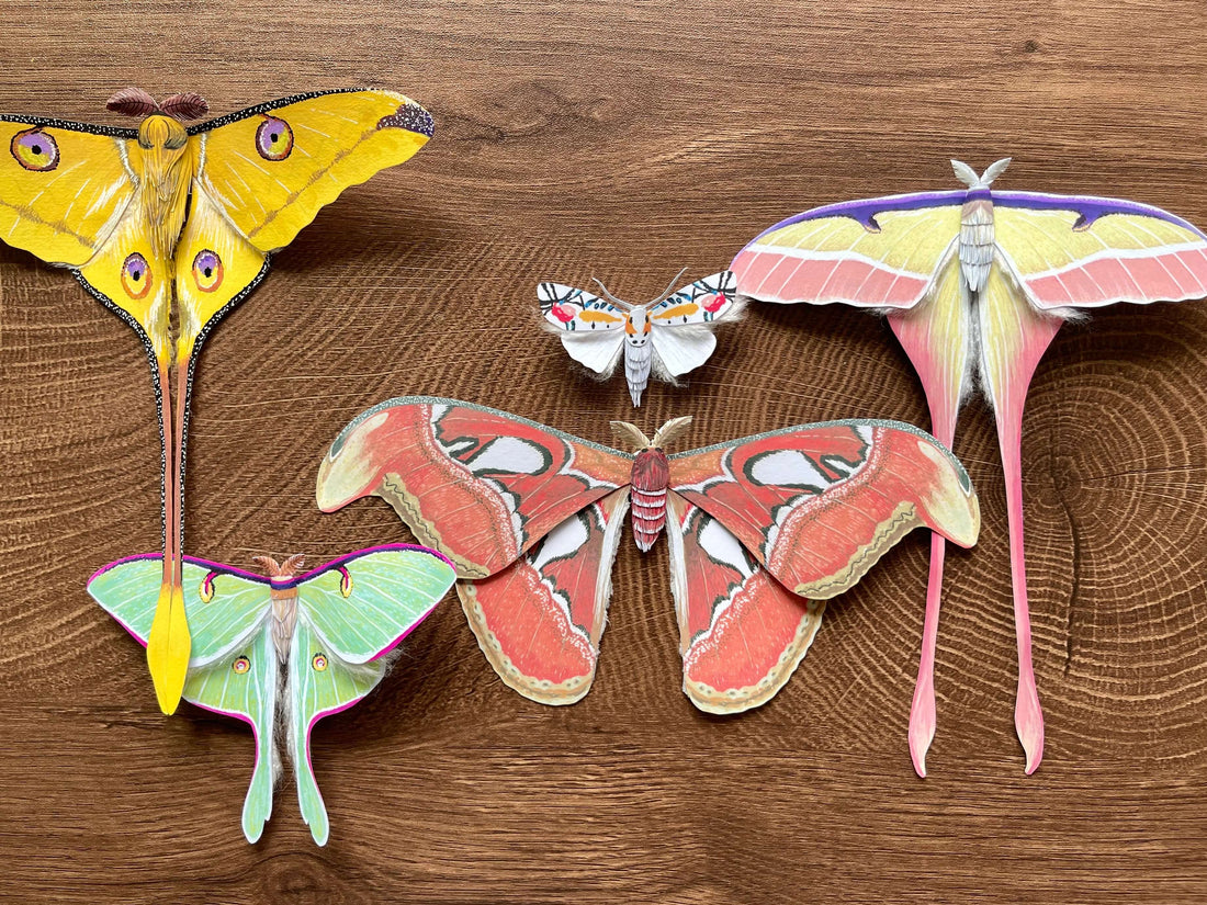 Paper crafting: 5 Most Beautiful Moths in the World