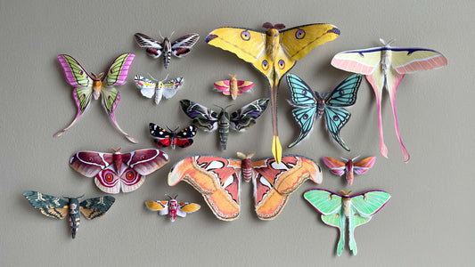 15 Most Beautiful Moths in the World: Realistic Paper Creations