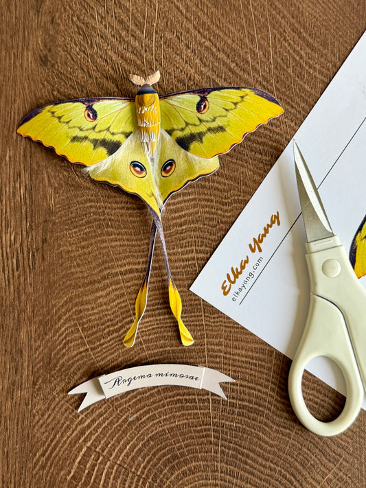 African Moon Moth made of PAPER, Downloadable PDF Template