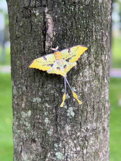 African Moon Moth made of PAPER, Downloadable PDF Template