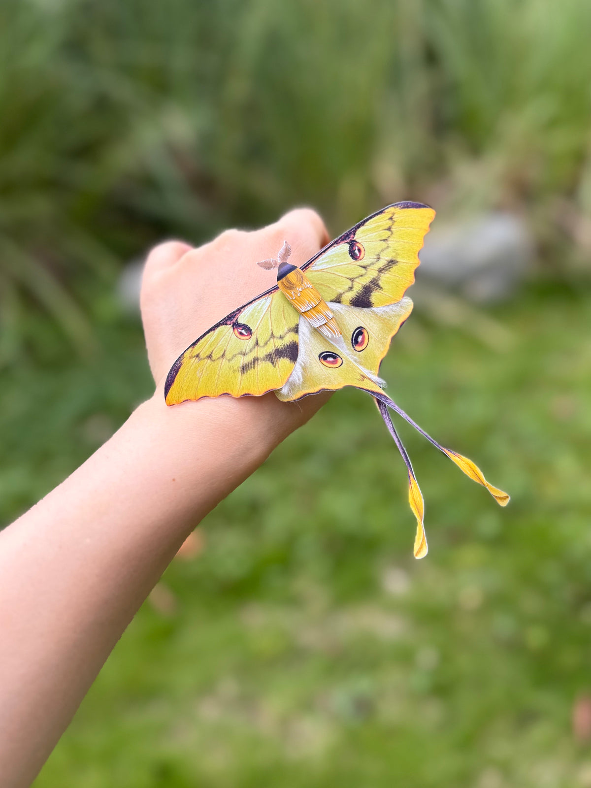 African Moon Moth made of PAPER, Downloadable PDF Template,  rests on a person's hand