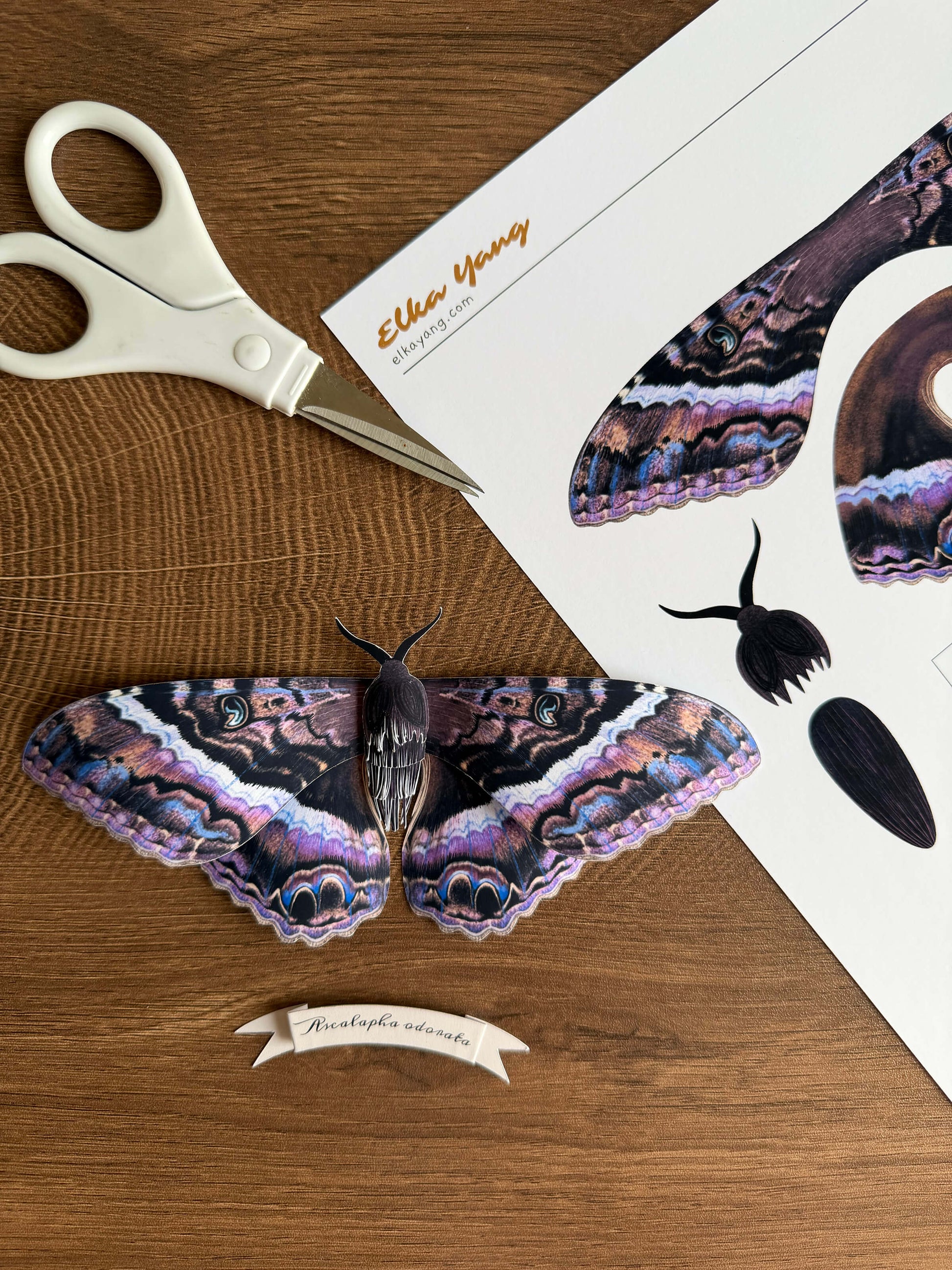 DIY Paper Black Witch Moth Template, Dark Paper Butterfly Pattern