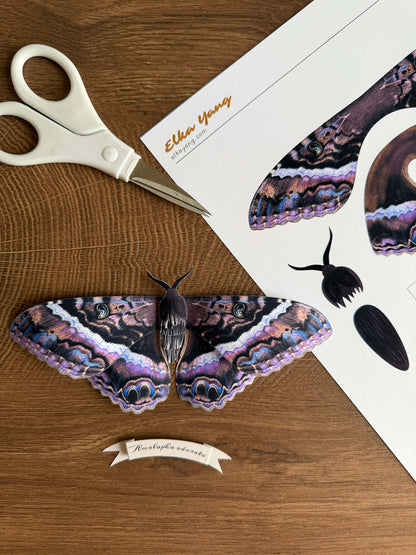 DIY Paper Black Witch Moth Template, Dark Paper Butterfly Pattern