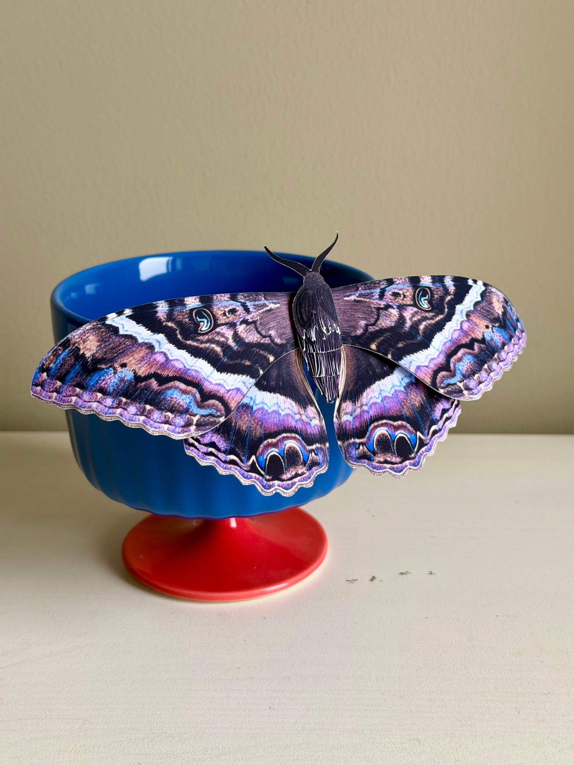 Butterfly on a blue bowl, DIY Paper Black Witch Moth Template, Dark Paper Butterfly Pattern