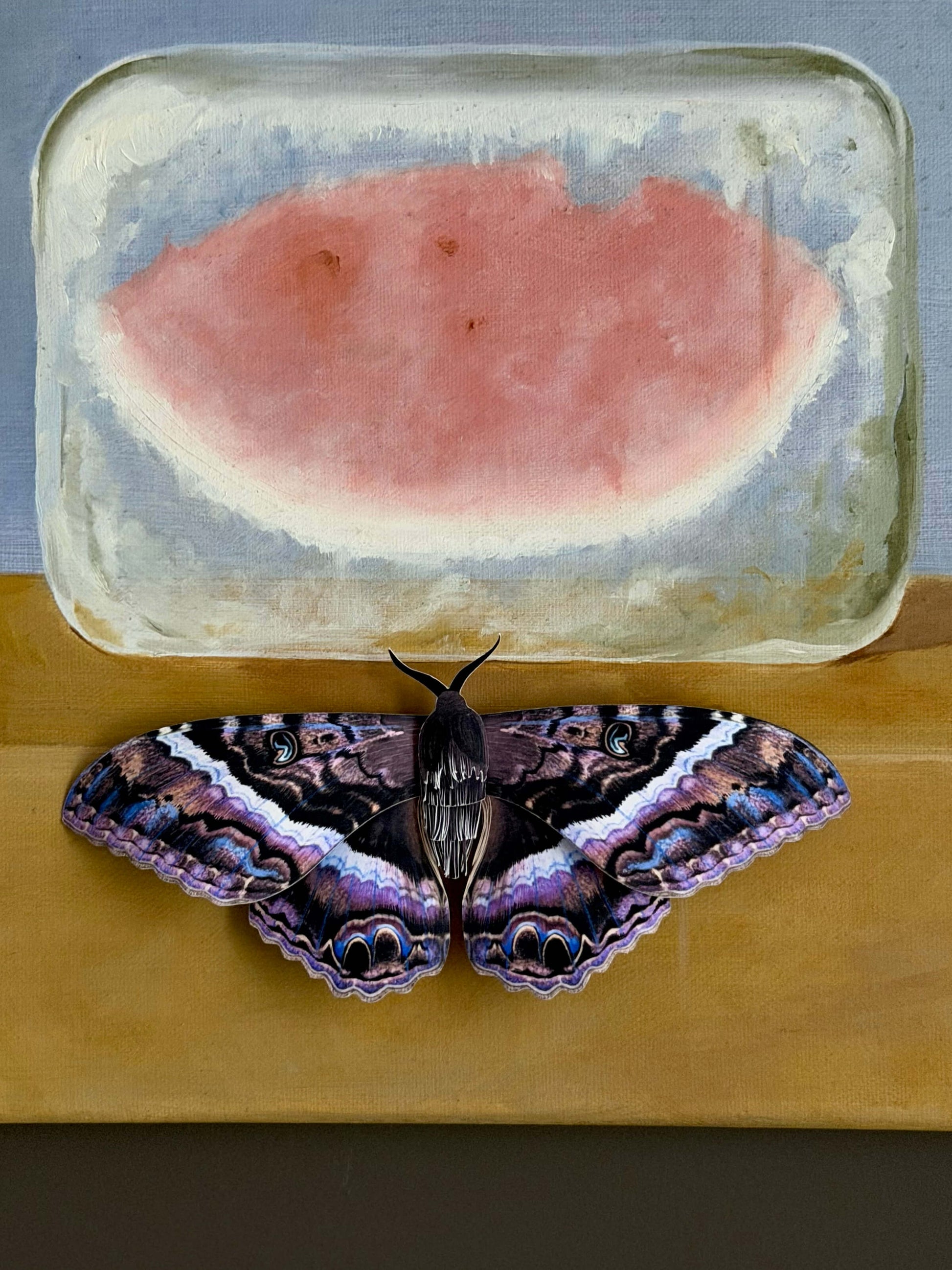 DIY Paper Black Witch Moth Template, Dark Paper Butterfly Pattern