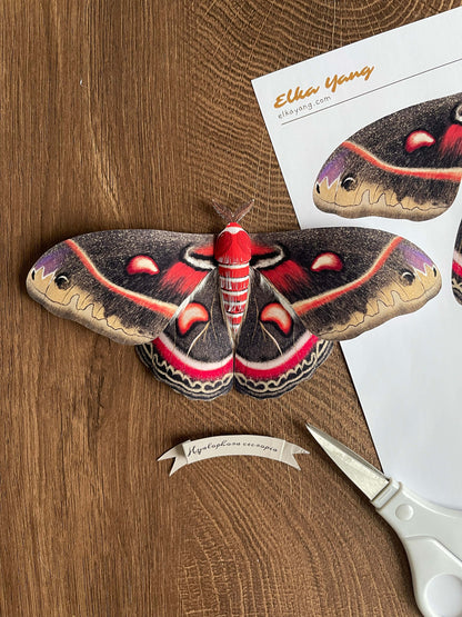 DIY Paper Cecropia Moth Tutorial