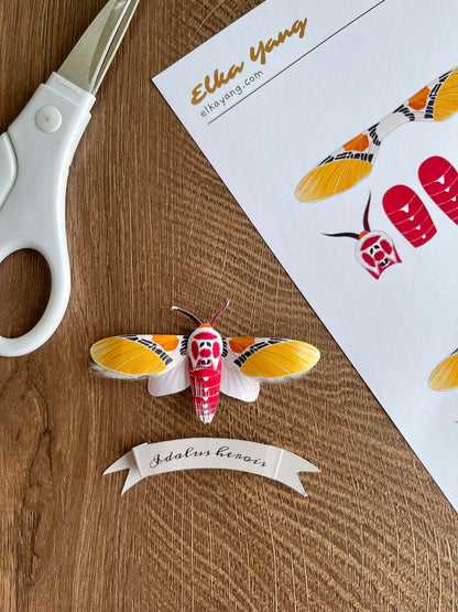 Paper Moth, Paper Clown Face Moth