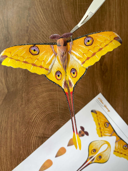 Paper Moth, Realistic Comet moth/ Madagascan moon moth made from template