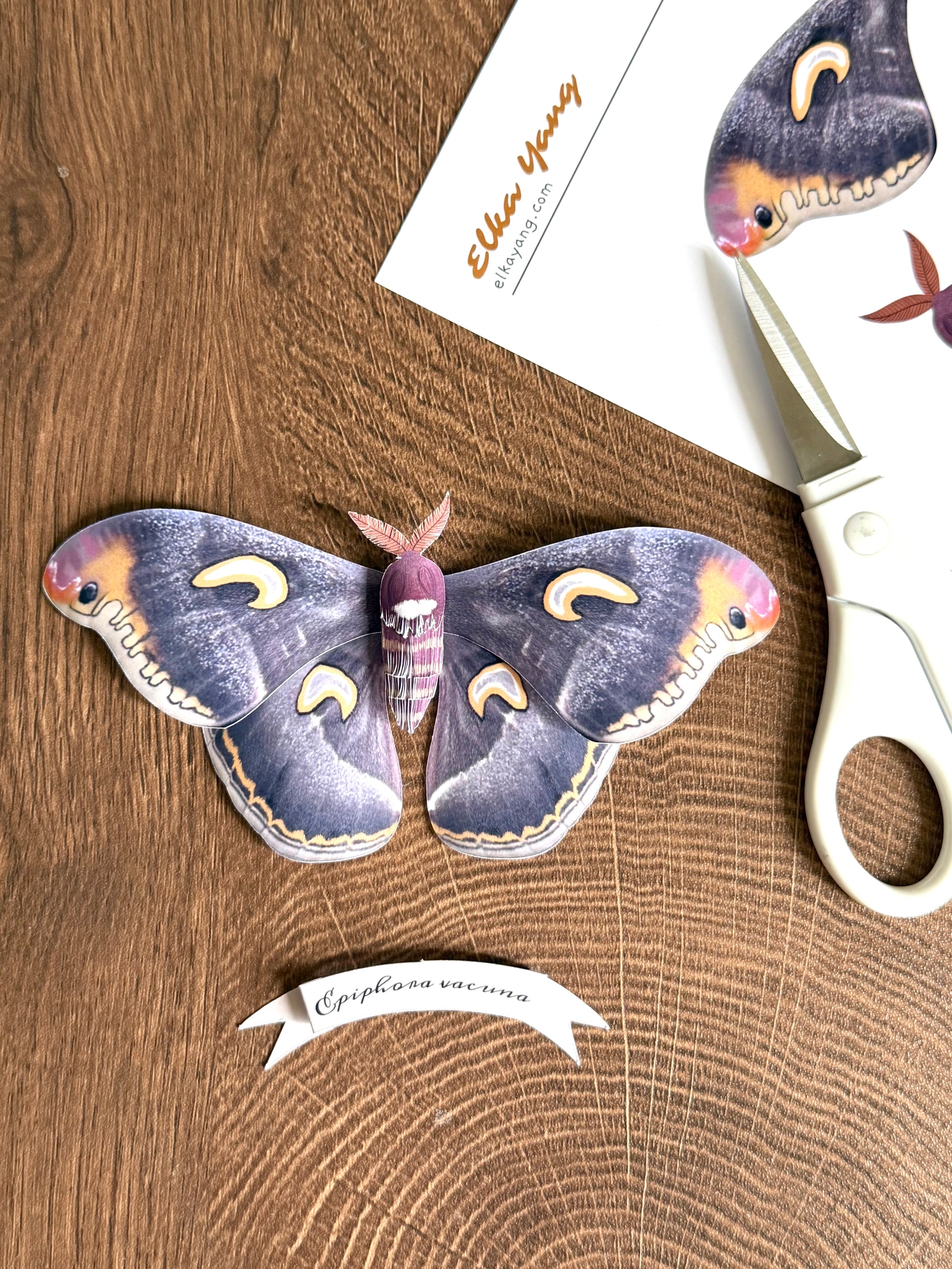 Dark Moon Emperor Moth made of PAPER, Downloadable PDF Template