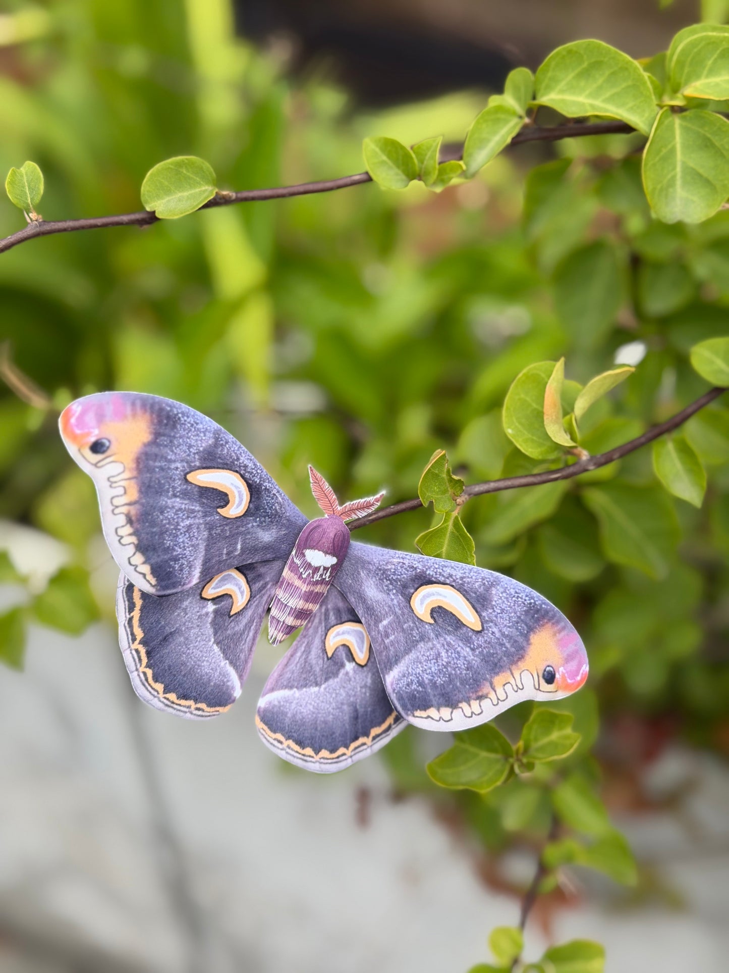Dark Moon Emperor Moth made of PAPER, on a branch with a blurred green background