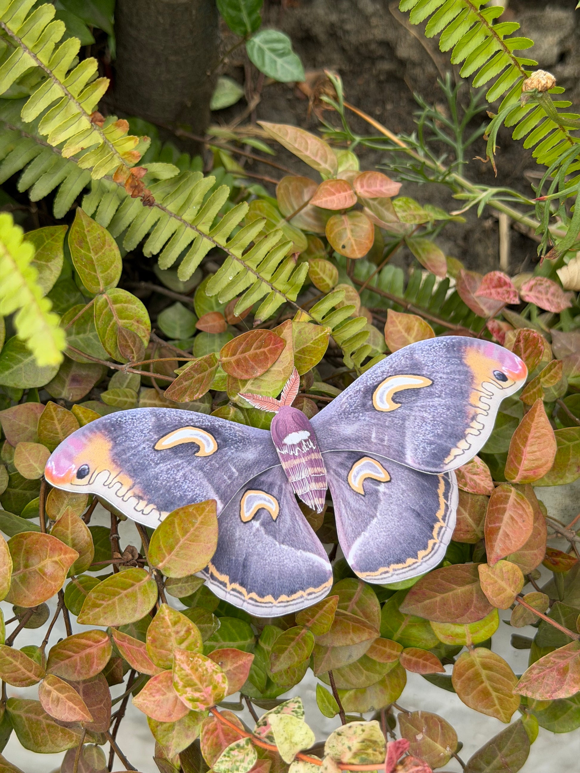 Dark Moon Emperor Moth made of PAPER on a leafy green background
