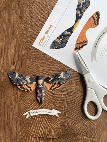 Paper Moth, Paper Death's Head Hawkmoth Made from Template