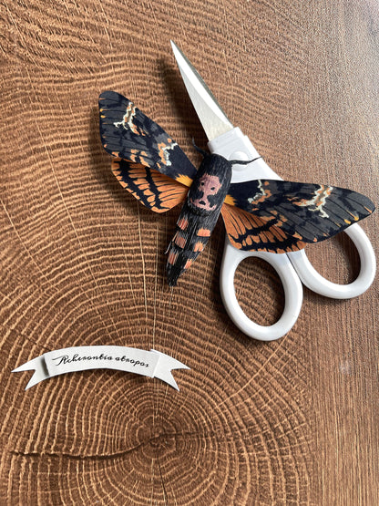 Paper Moth, Paper Death's Head Hawkmoth Made from Template