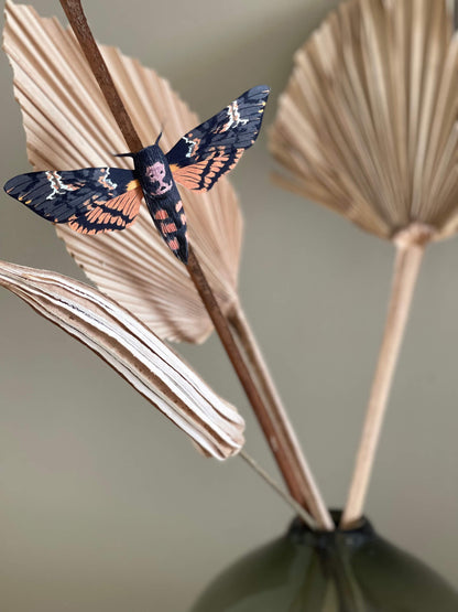 Paper Moth, Paper Death's Head Hawkmoth to decorate home