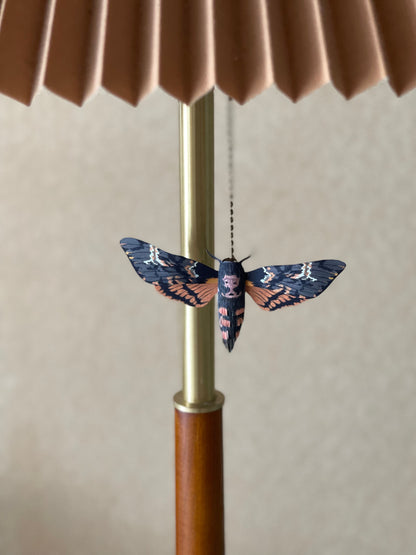 Paper Moth, Paper Death's Head Hawkmoth Made from Template