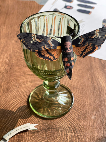 Paper Moth, Paper Death's Head Hawkmoth Staying on a Green Glass