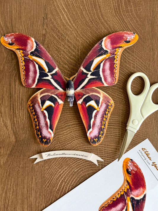 Edward's Atlas Moth made of PAPER, Downloadable PDF Template, displayed on a wooden surface alongside scissors 