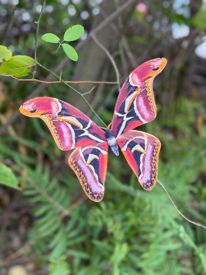 Edward's Atlas Moth made of PAPER, Downloadable PDF Template