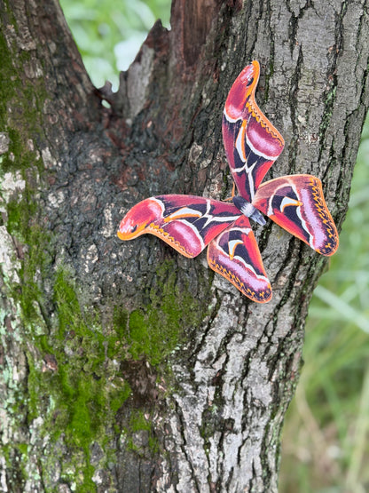 Edward's Atlas Moth made of PAPER, Stay on a Tree, Downloadable PDF Template