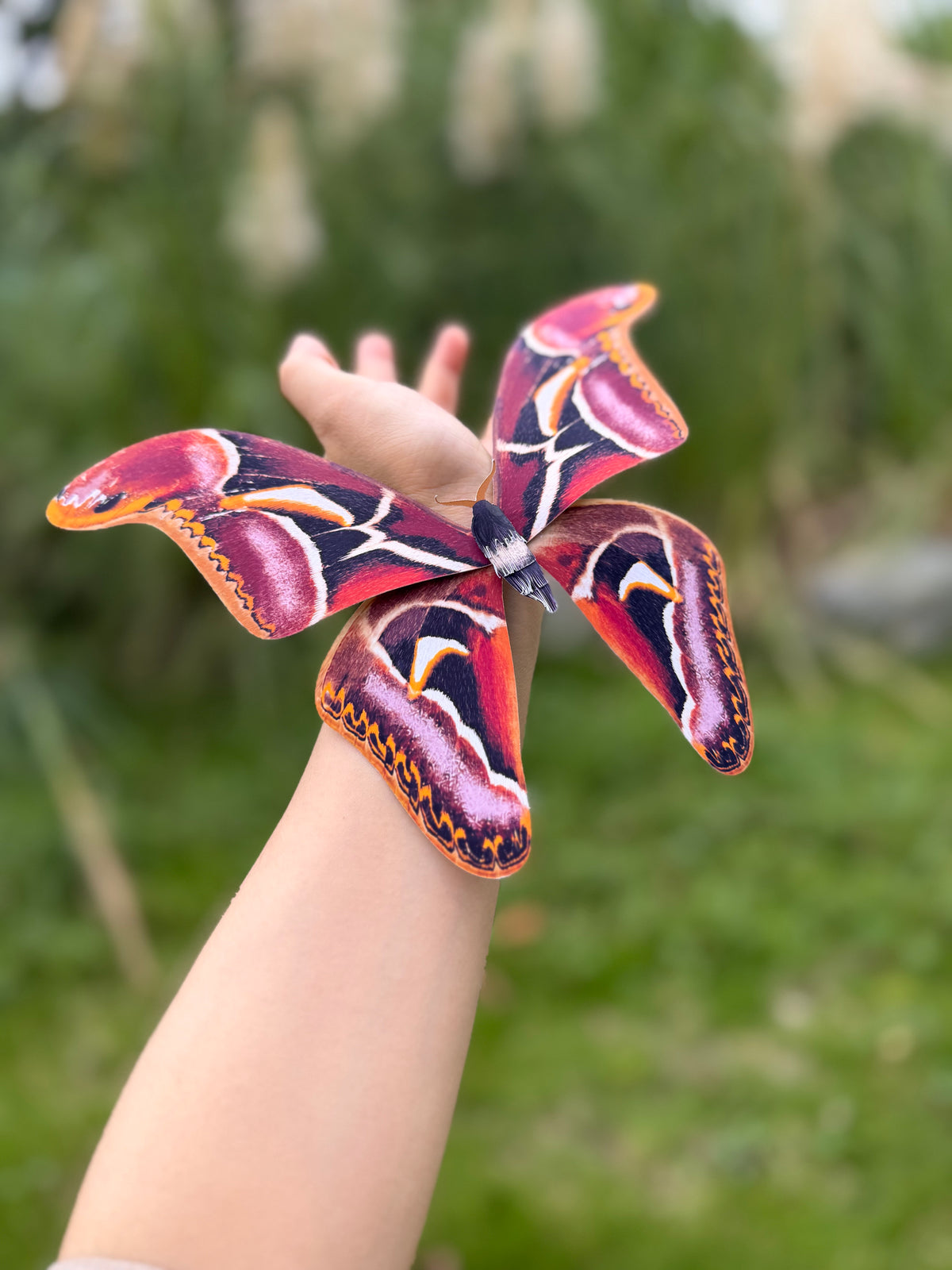 Edward's Atlas Moth made of PAPER, Downloadable PDF Template