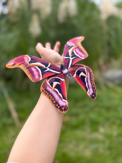 Edward's Atlas Moth made of PAPER, Downloadable PDF Template