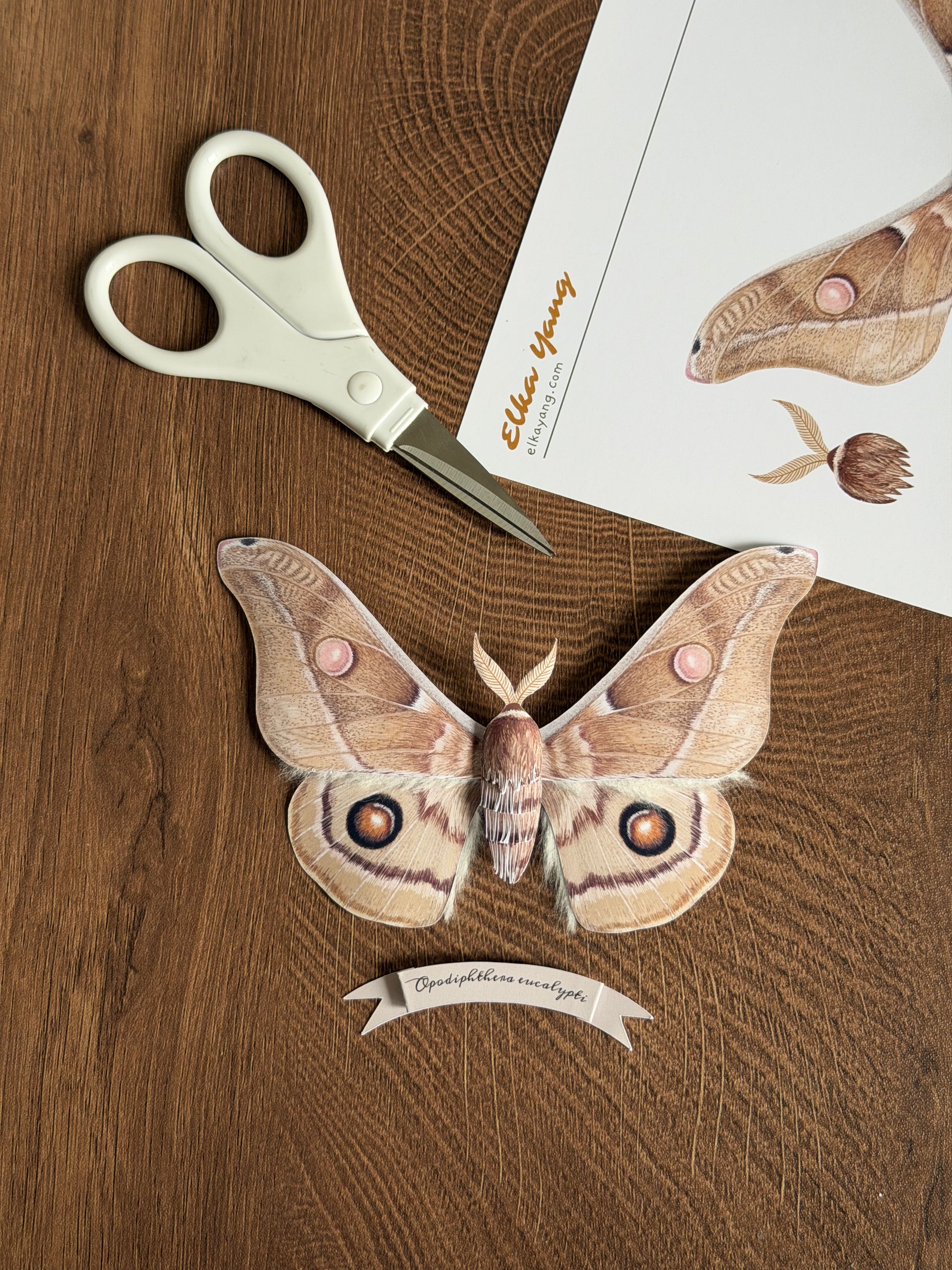Emperor Gum Moth paper craft