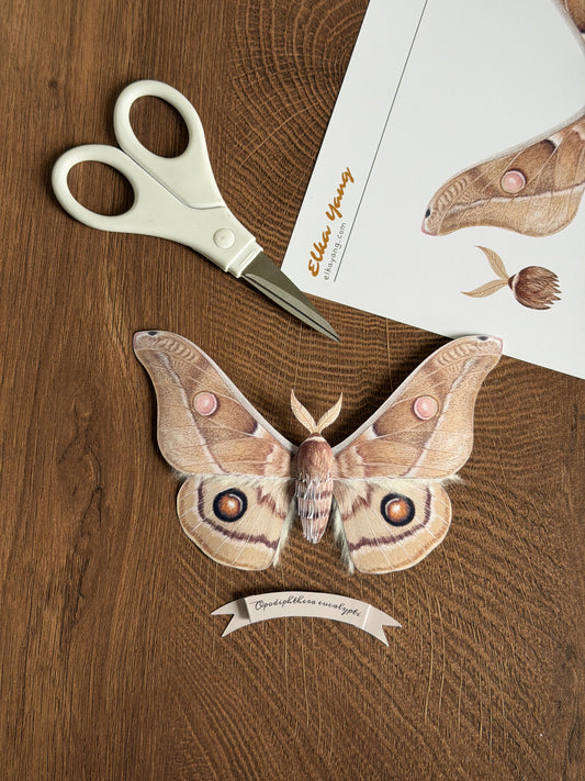 Emperor Gum Moth paper craft