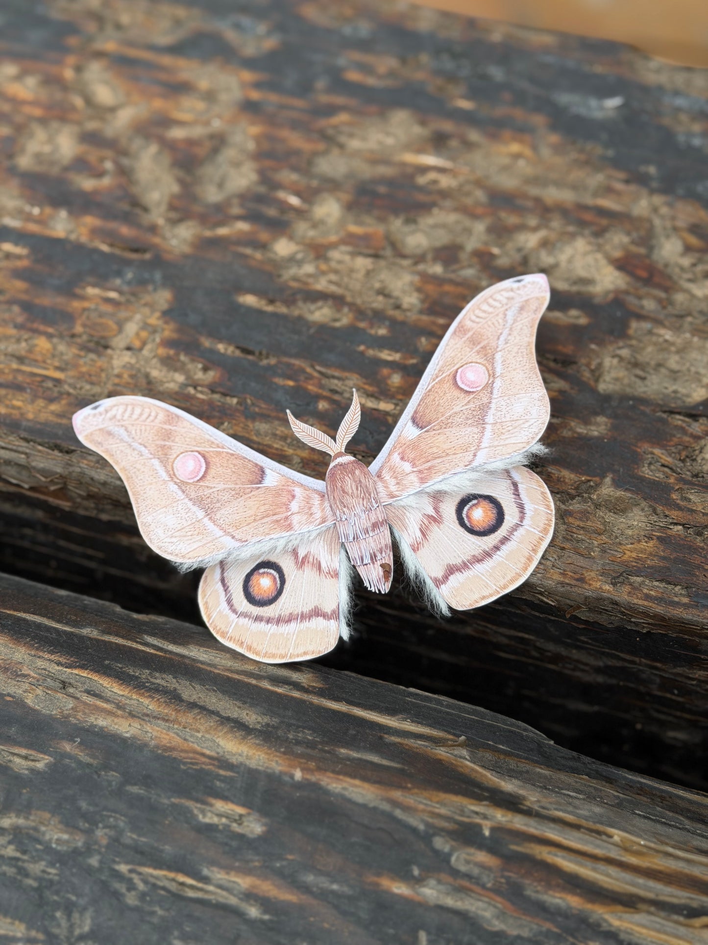 Big moth made of paper, on a wooden surface