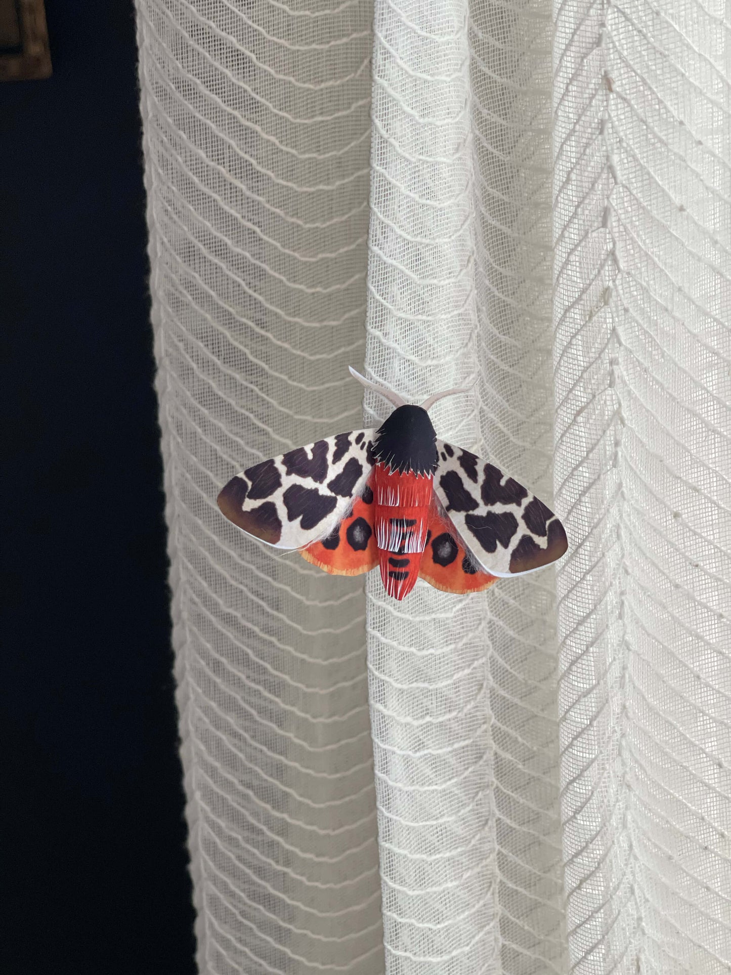 DIY Paper Garden Tiger Moth on a white textured curtain