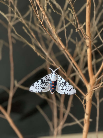 DIY Paper Giant Leopard Moth on a branch with a dark background