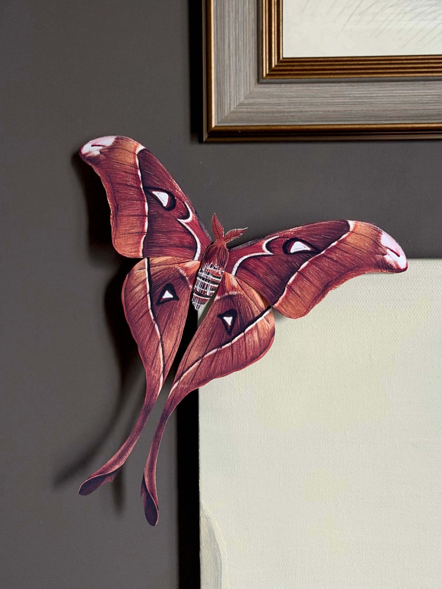 Giant Moth wall art on a dark wall, DIY Paper Hercules Moth Template, Large Paper butterfy Pattern