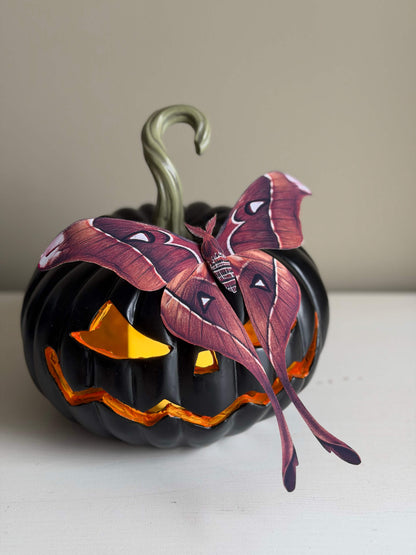 DIY Paper Hercules Moth on a pumpkin lamp, Large Paper butterfy Template